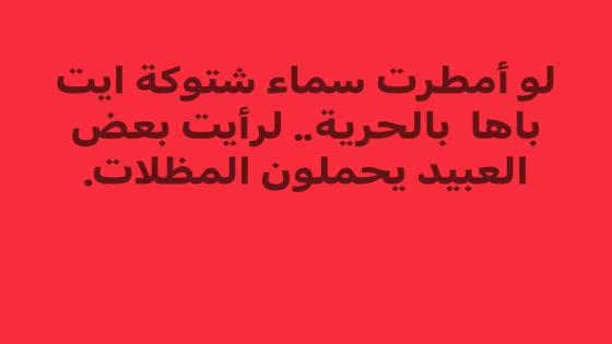 عملية إفراغ الحقل السياسي من” العقول” وفتح المجال أمام ” الذيول” وإسقاطها على إقليم اشتوكة .